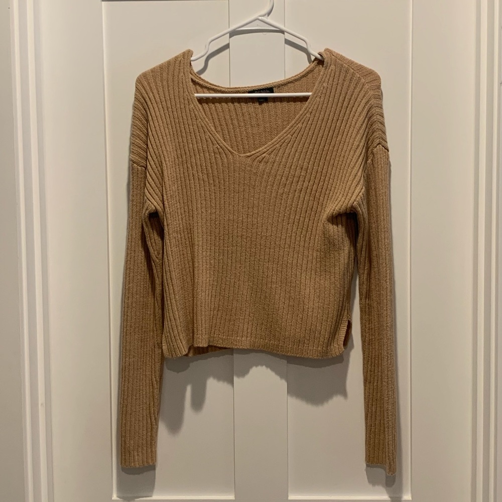 Brown Wild Fable V-Neck Sweater